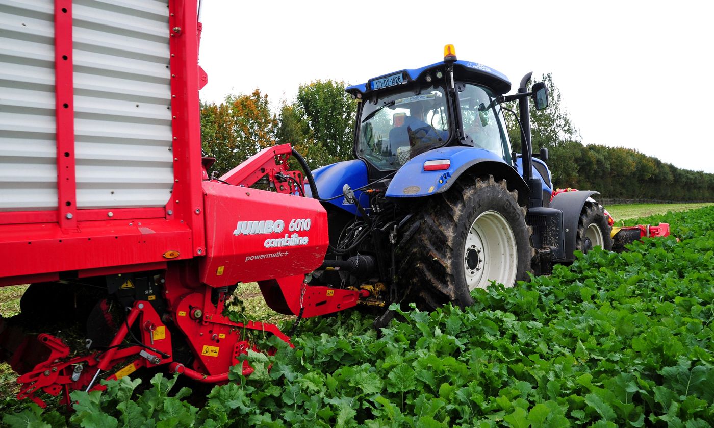 El Nubaria For Agricultural Services